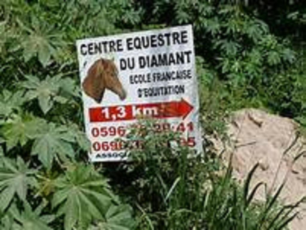 Appartement Rosbambou Les Pieds Dans L Eau Le Diamant Zewnętrze zdjęcie